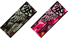 ayumi hamasaki 15th Anniversary TOUR A BEST LIVE～』グッズGOODS 